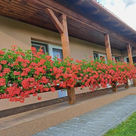 Lavender Villa Sovata Exterior photo